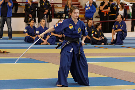Haidong Gumdo - Korean Sword Fighting