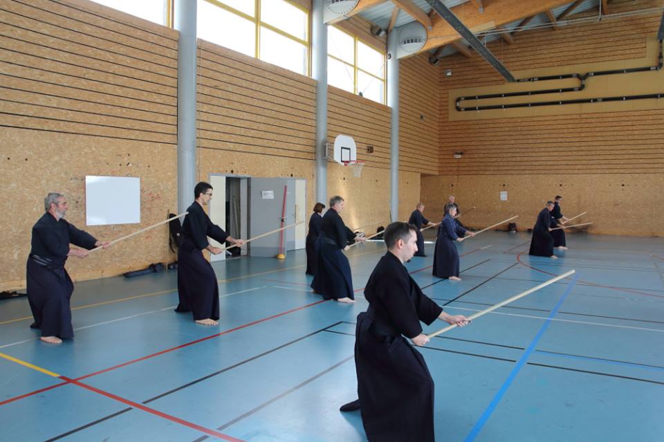 יאן ווגנפירר ורם לוי כפר סבא איאיידו - Iaido 