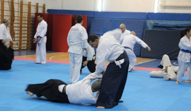 גיא סער שוהם אייקידו - Aikido 