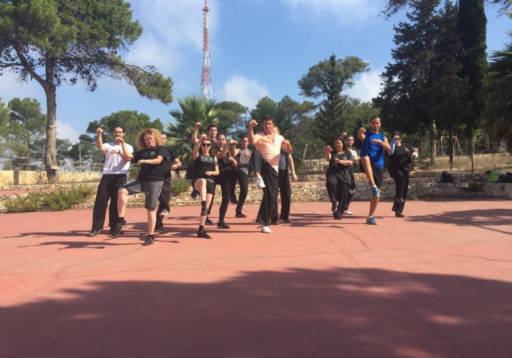 חיפה אלדן פרידמן קונג פו – Kung Fu  בה גואה - BaGua טאי צ'י Tai Chi שינג אי צ'ואן Xing Yi Quan