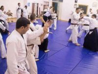 וואדוקאן דוג'ו איאיידו - Iaido אייקידו Aikido  פרדס חנה כרכור