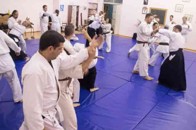 וואדוקאן דוג'ו איאיידו - Iaido אייקידו Aikido  פרדס חנה כרכור