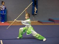 Wushu Kung Fu  קונג פו – בה גואה - BaGua קריית גת