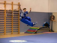 קריית גת ילנה גלקר קונג פו – Kung Fu  בה גואה - BaGua וושו Wushu טאי צ'י Tai Chi