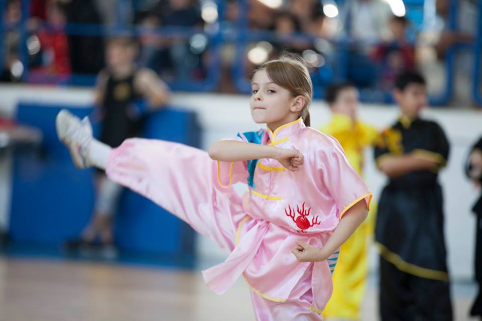 קריית גת ילנה גלקר קונג פו – Kung Fu  בה גואה - BaGua וושו Wushu טאי צ'י Tai Chi