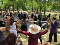 אוהד  קדם כפר סבא צ'י קונג - Qigong