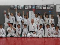 שורין ריו קראטה ג'וטסו ג'וג'יטסו יפני - Jujutsu קובודו Kobudo  רחובות