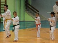 רחובות אורי וולף ג'וג'יטסו יפני - Jujutsu  קובודו Kobudo קראטה Karate שורין ריו Shorin-Ryu