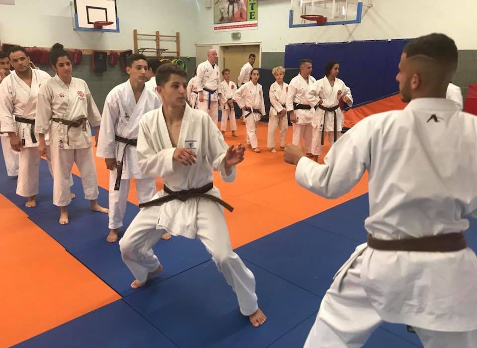 גדעון  שובה נס ציונה קראטה - Karate