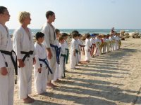 KARATE & BJJ SPIRIT קראטה - Karate ג'וג'יטסו ברזילאי  עין עירון