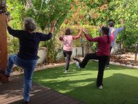 טאי צ'י ושיטת אלכסנדר קונג - Qigong Tai Chi  רחובות