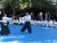 שלמה דוד ראשון לציון אייקידו - Aikido  ג'וג'יטסו יפני Jujutsu קובודו Kobudo קראטה Karate