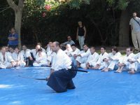 שלמה דוד ראשון לציון אייקידו - Aikido 