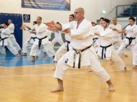 שישידו קראטה - Karate שוטוקאן Shotokan  ראשון לציון