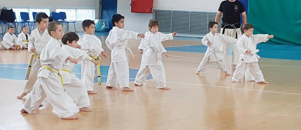 שישידו קראטה - Karate שוטוקאן Shotokan  ראשון לציון