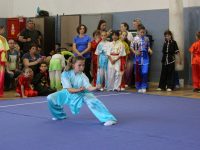 Wushu Kung Fu קונג פו – וושו -  רחובות