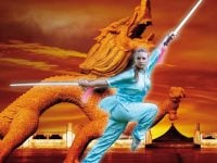 Wushu Kung Fu קונג פו – וושו -  רחובות