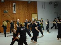 סער  הראל רמת השרון נינג'יטסו - Ninjutsu