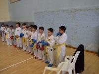 רוני  עקירב קדימה צורן קובודו - Kobudo קראטה Karate