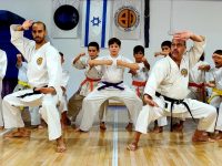 רוני  עקירב קדימה צורן קובודו - Kobudo