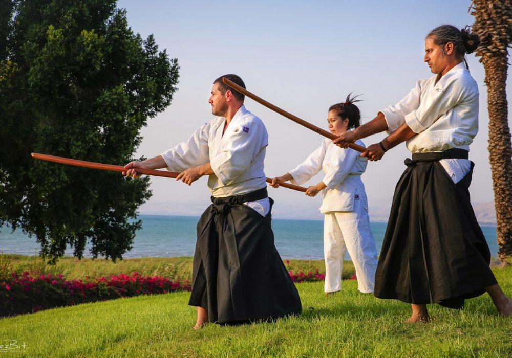 נמרוד נהרדעא כנרת אייקידו - Aikido 