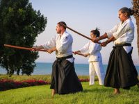 נמרוד נהרדעא כנרת אייקידו - Aikido 