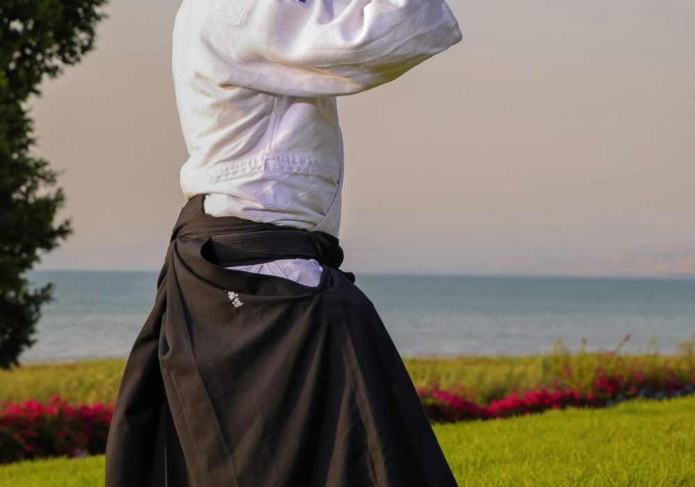 כנרת נמרוד נהרדעא אייקידו - Aikido 