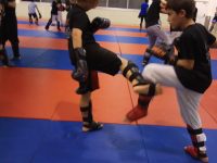 הגר  פיינר כפר שמריהו ג'וג'יטסו יפני - Jujutsu
