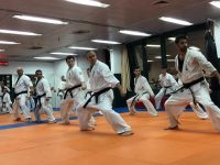 אריה כהן רעננה ג'וג'יטסו יפני - Jujutsu 