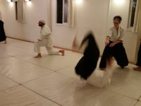ירושלים שוקי כהן ואסי מועלם אייקידו - Aikido 