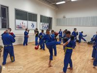 MK7 - מואי תאי וקרב מגע קרב – Krav Maga איגרוף תאילנדי Muay Thai  ראשון לציון
