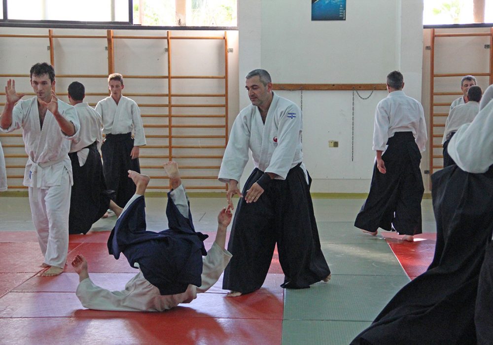 יורי פולישקו חיפה אייקידו - Aikido 