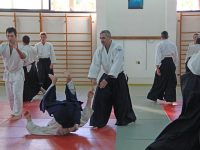 יורי פולישקו חיפה אייקידו - Aikido 