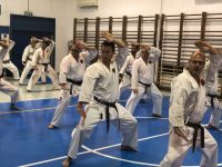 אילן אופנהיימר תל אביב יפו קראטה - Karate  גוג’ו ריו Goju-Ryu