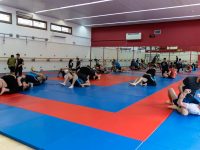 Timura BJJ  חיפה