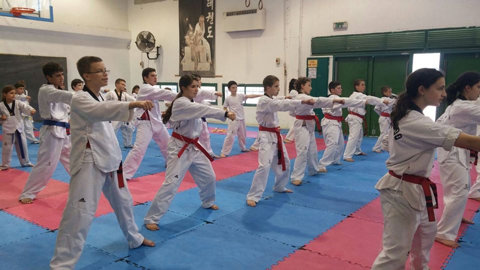 ירושלים ארז אהרוני טאקוונדו - Taekwondo 