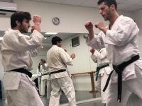 דנטו אוקינאווה גוג’ו ריו קראטה - Karate Goju-Ryu  תל אביב יפו