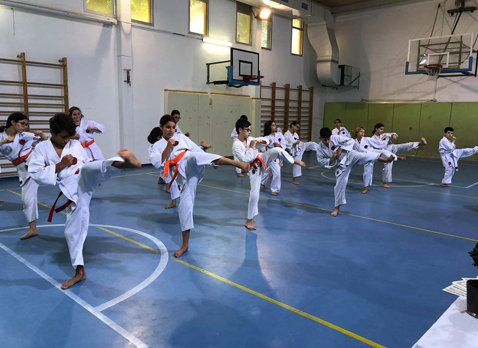 תל אביב יפו אילן אופנהיימר קראטה - Karate 