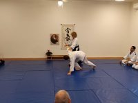 ענתי מירון יודפת אייקידו - Aikido 