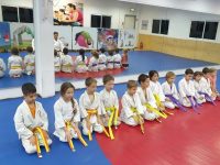 דורון משיח מודיעין מכבים רעות קראטה - Karate  שוטוקאן Shotokan