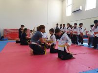 קרב מגע Smart Fight  חדרה