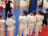 גיא סקורניק תל אביב יפו אמ.אמ.איי - MMA 