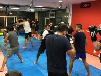 דור  שאולוב ראשון לציון אמ.אמ.איי - MMA