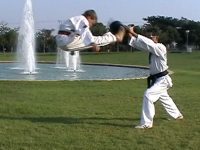 Taekwondo Kfar Saba  כפר סבא