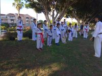 שלמה טל כפר סבא טאקוונדו - Taekwondo 