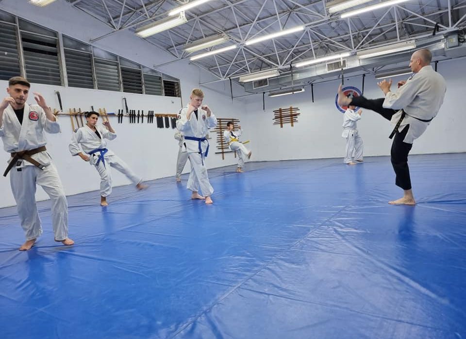 רונן אליהו כפר סבא ג'וג'יטסו יפני - Jujutsu  קובודו Kobudo