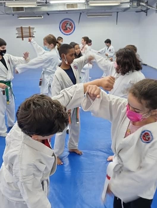 רונן אליהו כפר סבא ג'וג'יטסו יפני - Jujutsu 