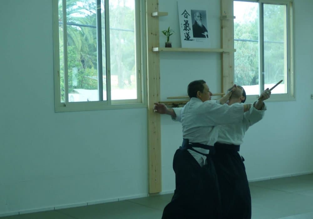 ליתי פרי ושי קשתי פרדס חנה כרכור אייקידו - Aikido 
