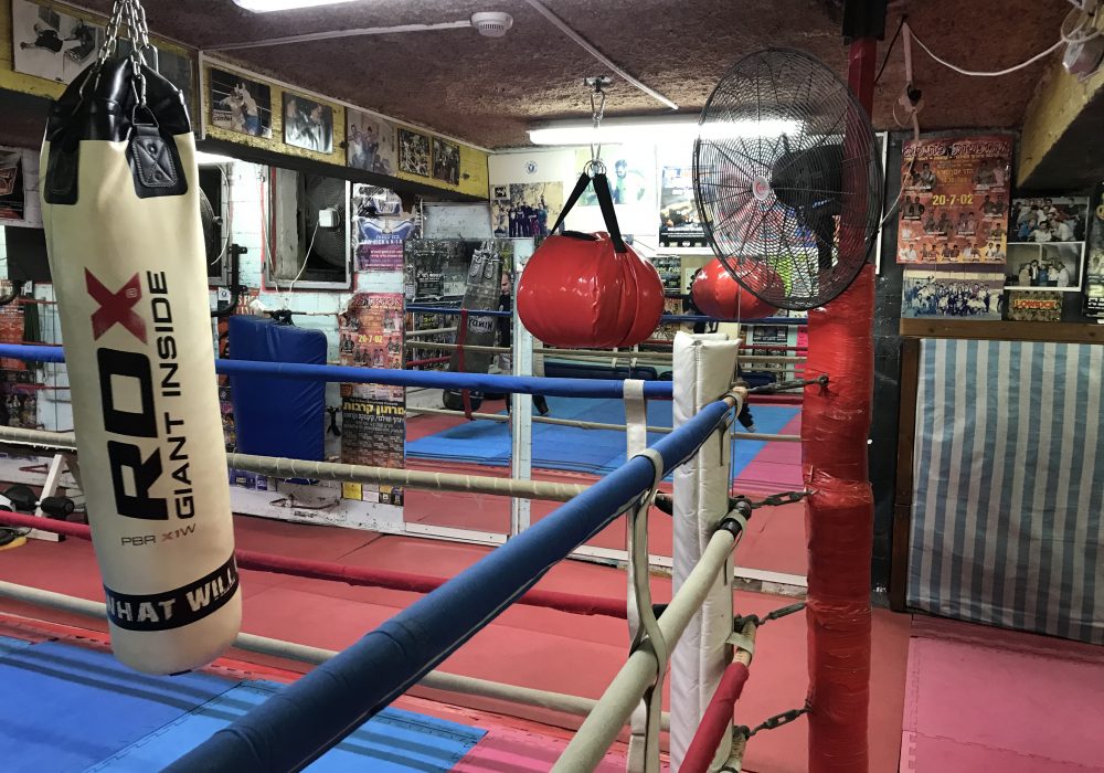 מועדון קרב איגרוף קלאסי - Boxing תאילנדי Muay Thai  תל אביב יפו