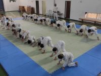 כרמיאל דוד  בנימין אמ.אמ.איי - MMA